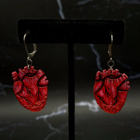 Anatomical Heart